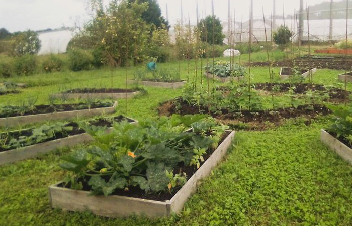 Huerto escolar ecológico