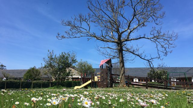 inicio Exteriores colegio Edes